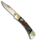 Buck 110 Nickel & Custom Odyssey Handles (Dual Action Automatic)