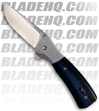 Buck Paradigm Pro Spring Assisted Opening Knife (Satin PLN) 0337BKS-B