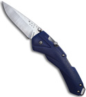 Buck Blue Quickfire Assisted Opening Knife (Satin PLN)