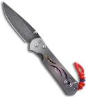 Chris Reeve Sebenza 21 Large Manual Knife CGG Unique Graphic (Raindrop Damascus)