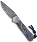 Chris Reeve Sebenza 21 Large Manual Knife CGG Unique Graphic (Spiro Damascus)