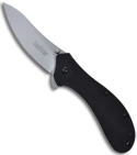 Kershaw Packrat Spring Assisted Knife w/ G-10 Handles (Bead Blast PLN) 1665