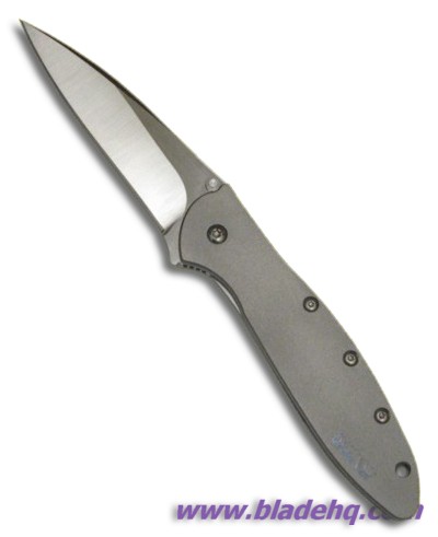 Kershaw Onion Titanium Leek Knife (Satin PLN) 1660TIZDP