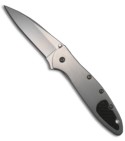 1660CF Carbon Fiber Kershaw Onion Leek Knife (PLN)