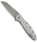 Kershaw Random Leek Reverse Tanto 1660TSW (PLN)