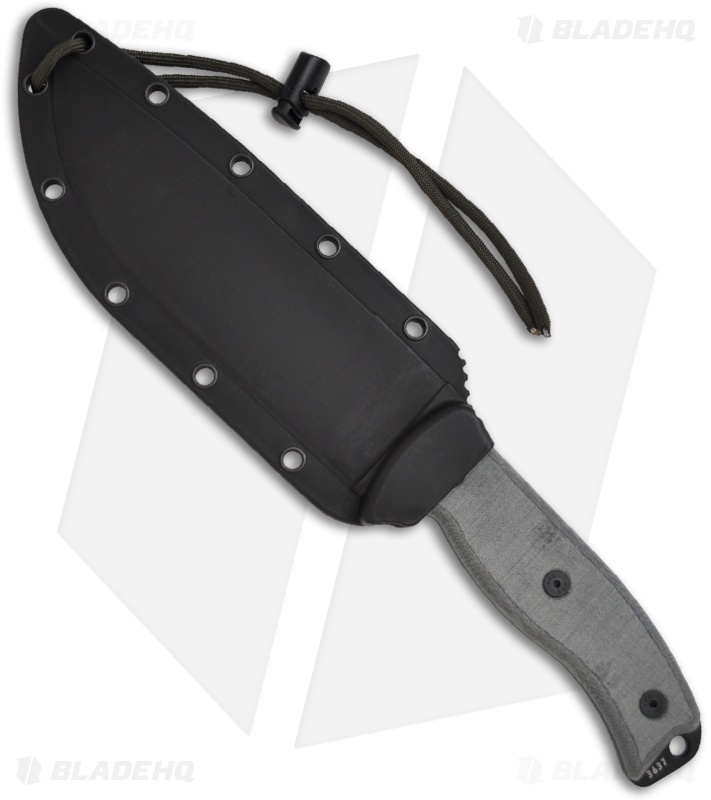 Esee 6