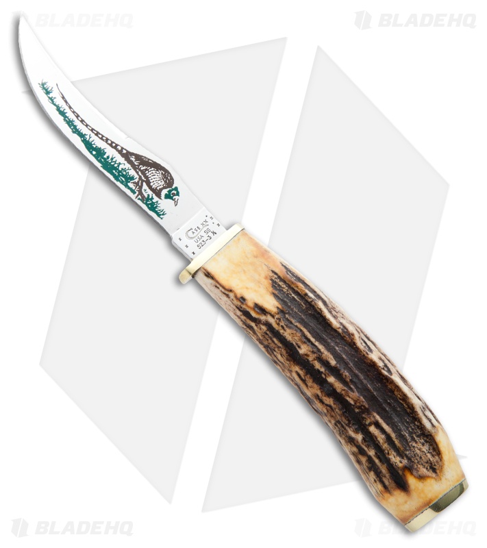 Case Pheasant Blade Stag Hunter Knife 3.625" Genuine Stag (5233 1/4 SS