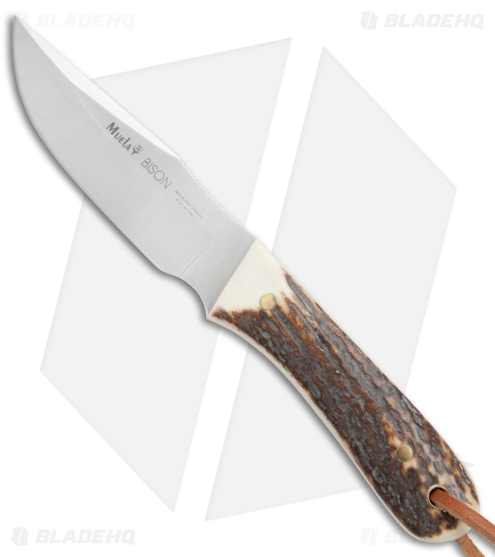 Muela Bison Fixed Blade Knife Stag Horn (3.5" Satin) Blade HQ