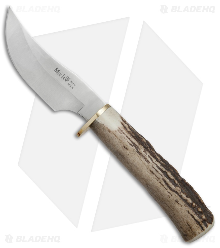 Muela Skinner Fixed Blade Knife Stag Horn (3.875" Satin) Blade HQ