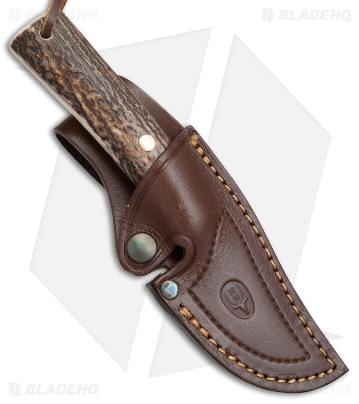 Muela Teckel Fixed Blade Knife Stag Horn (3" Satin) Blade HQ