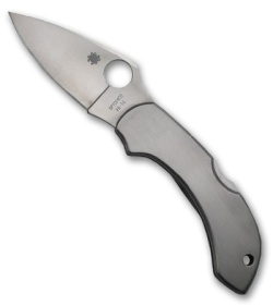 Spyderco Stainless Dragonfly Folding Knife (PLN) C28P