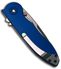 Buck Sirus Eagle and Flames Spring Assisted Knife (Satin PLN) 0297G4S-B