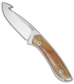 Lion Steel Knives 573 Hunting Knife Ram Horn (3.54" Satin Plain) 573 MN