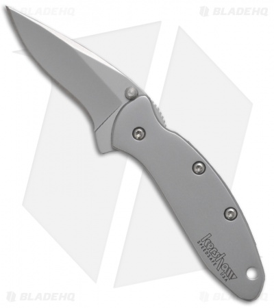 Kershaw Chive Assisted Opening Knife (1.94" Bead Blast) 1600