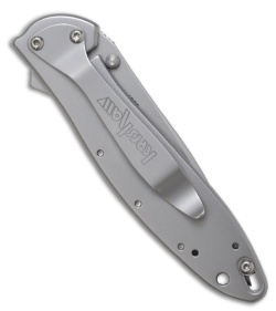 Kershaw Leek Spring Assisted Knife (3" Bead Blast Plain) 1660