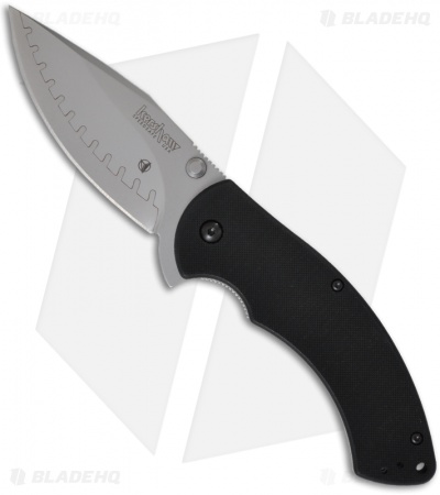 Kershaw Rake Composite Blade Spring Assisted Knife (Bead Blast PLN) 1780CB