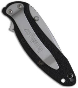 Kershaw Scallion Knife Spring Assist w/ Black Handle (Bead Blast PLN) 1620