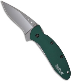 Kershaw Scallion Green Spring Assisted Knife (Bead Blast PLN) 1620GRN