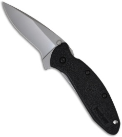 Kershaw Scallion Knife Spring Assist w/ Black Handle (Bead Blast PLN) 1620