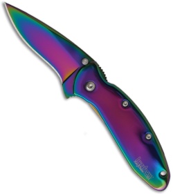 Kershaw Scallion Rainbow Frame Lock Spring Assisted Knife (Spectrum PLN) 1620VIB