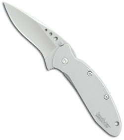Kershaw Scallion Frame Lock Spring Assisted Knife (Bead Blast PLN) 1620FL