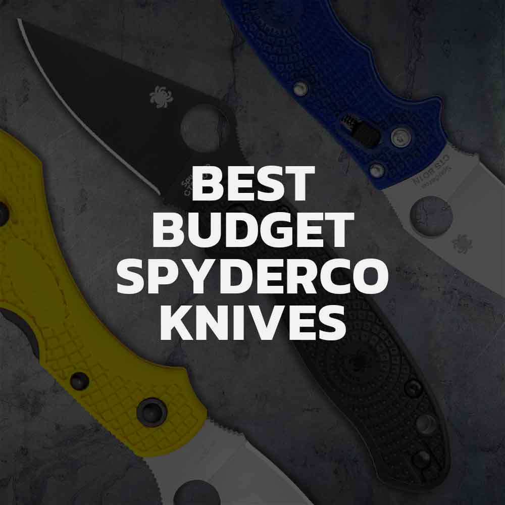 Top 7 Affordable Spyderco Knives