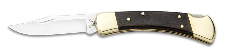 Buck 110