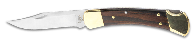 Buck 110 Knife