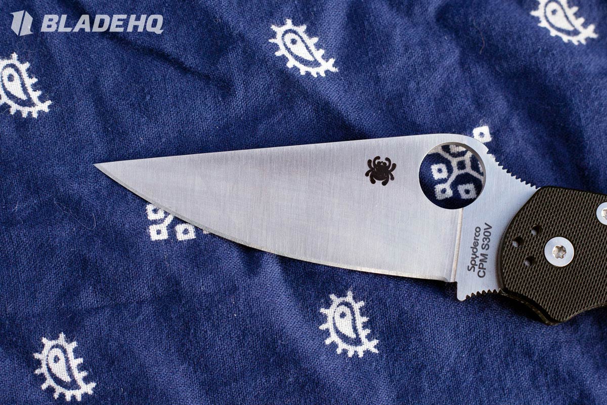 Spyderco Paramilitary 2 Blade