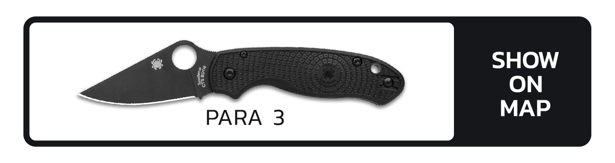 Para 3 Button