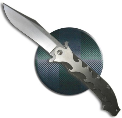 Camillus Aftermath Spring Assisted Knife (5.25" Satin)