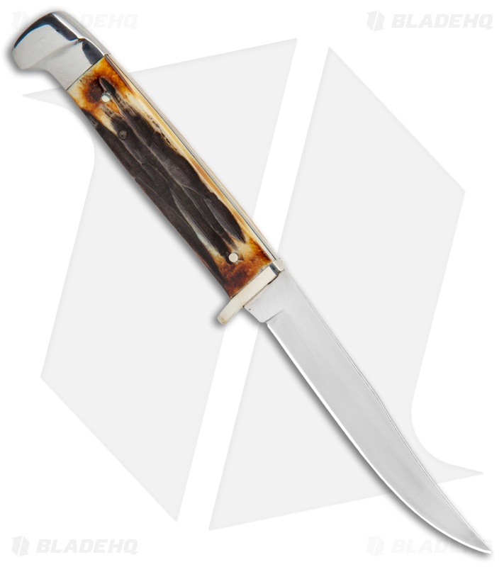 Bear & Son Hunter Fixed Blade Knife India Stag (3.125" Satin) 563