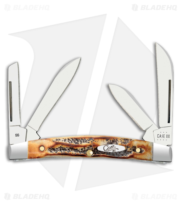 Case Knives Small Congress Knife Amber Bonestag Polish