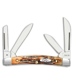 Case Knives Small Congress Knife 3.1" Amber BoneStag (6.5468 SS) 65337