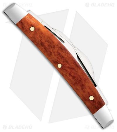 Case Knives Small Congress Knife 3.1" Chestnut Bone (6468 SS) 28911