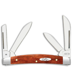 Case Knives Small Congress Knife 3.1" Chestnut Bone (6468 SS) 28911