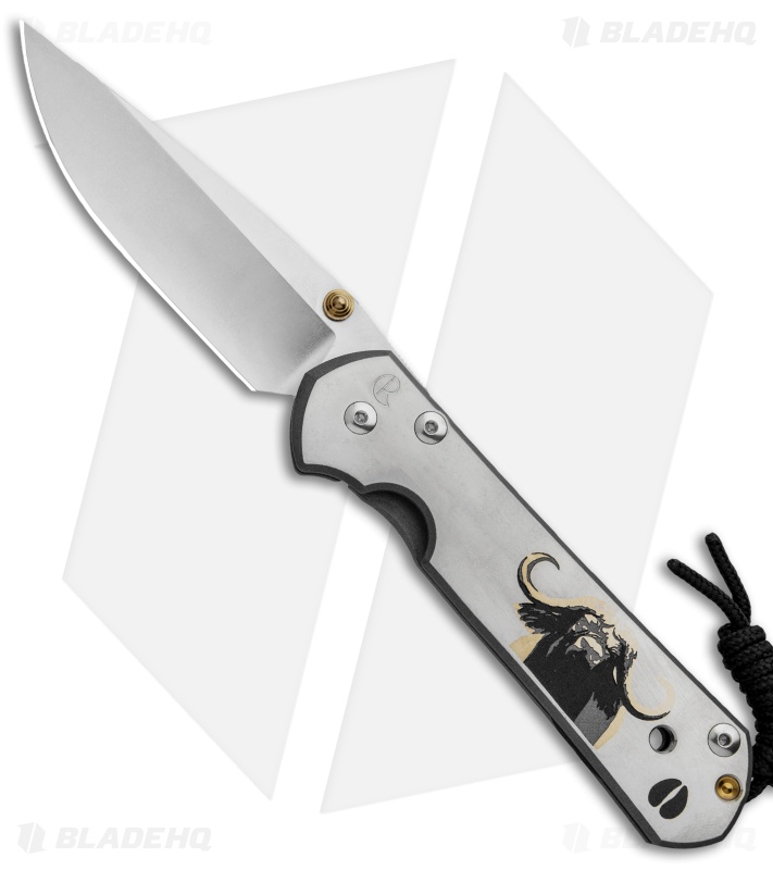 スナフキン堂【希少カッタウェイ】MONTANO リペア・メンテ済　JV Chris Reeve | Large Sebenza 21 Knife | CGG Cape Buffalo