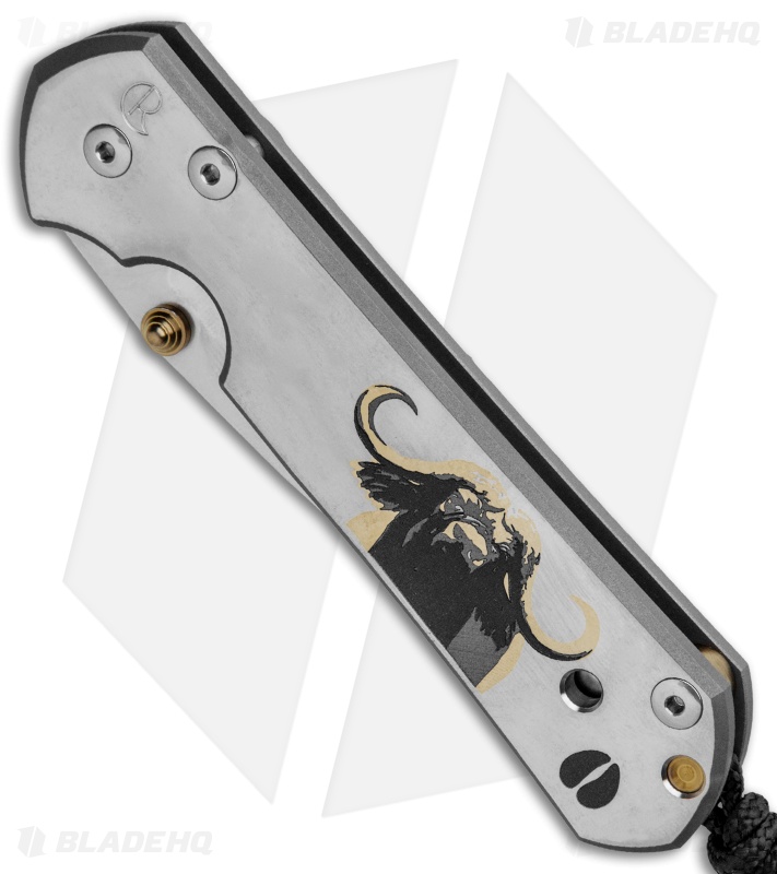 Chris Reeve | Large Sebenza 21 Knife | CGG Cape Buffalo