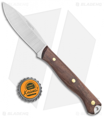 Condor Scotia Fixed Blade Knife Walnut (3.5" Satin)