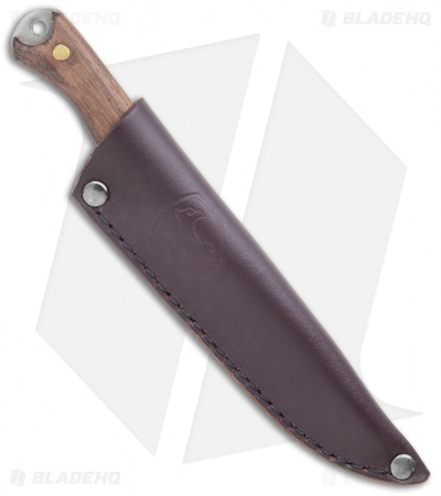 Condor Scotia Fixed Blade Knife Walnut (3.5" Satin)