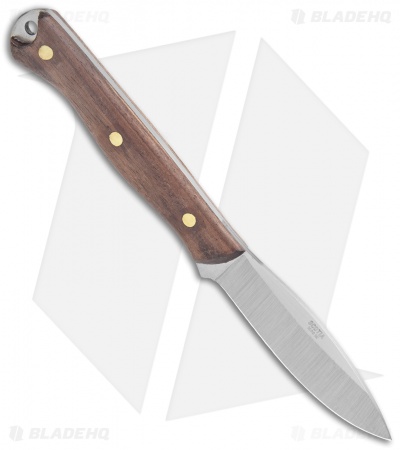 Condor Scotia Fixed Blade Knife Walnut (3.5" Satin)