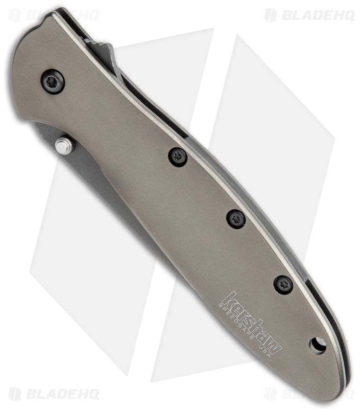 Kershaw Leek | Assisted Opening Knife Gray | 1660GRY - Blade HQ