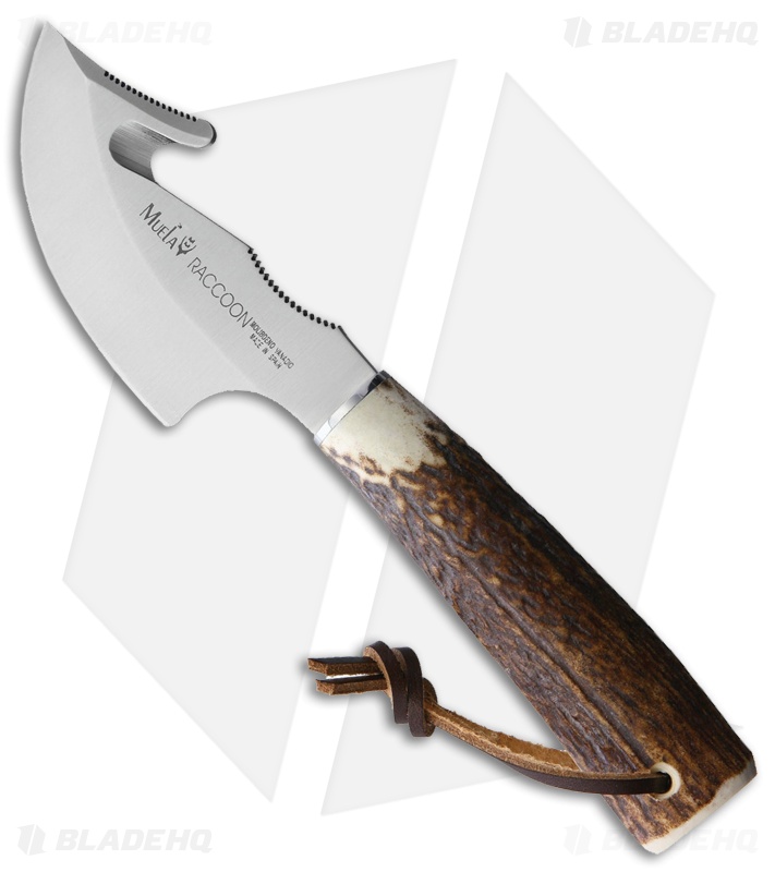 Muela Raccoon Knife Brown Stag Horn (3