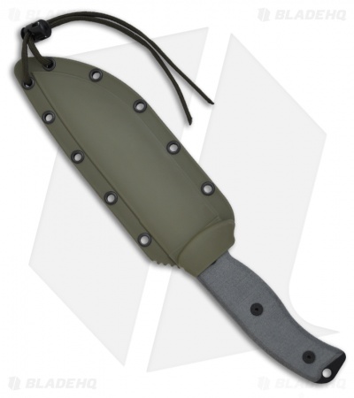 ESEE Knives ESEE-6S-OD Knife w/ OD Green Sheath (6.5" Serr)