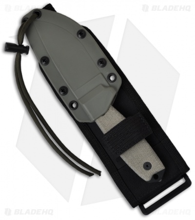 ESEE Knives ESEE-3MIL-S-CP Clip Point Knife Green Sheath & MOLLE (3.88" Serr)