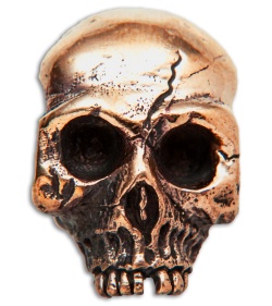 Lion ARMory Ancient Skull Lanyard Bead Copper