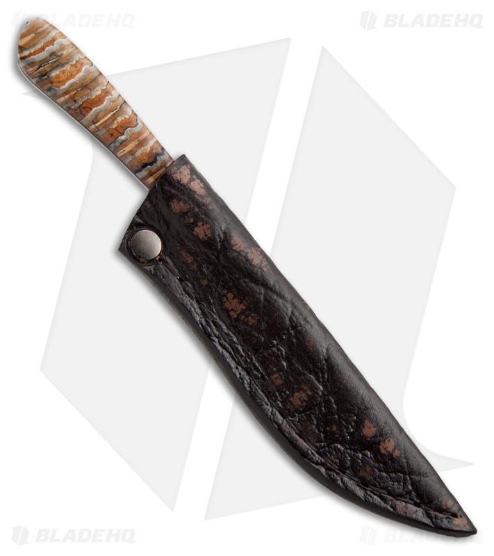 Arno Bernard Knives Porcupine Fixed Blade Knife Mammoth Molar (3" Satin