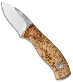 Fiddleback Forge Runt Knife Ash Burl (2" Satin)