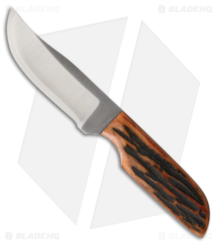 Anza Knives LBK-AJB Fixed Blade Knife Amber Jigged Bone (2.6" Satin)