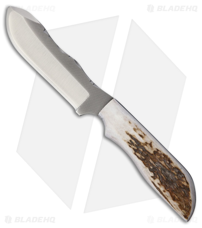 Anza Knives MC-4FE Fixed Blade Knife Full Stag Horn (4" Satin)